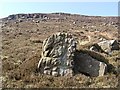 Weathered stone on moor