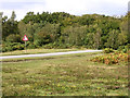 Sharp bend coming up on the way to Nomansland, north of Pipers Wait, New Forest