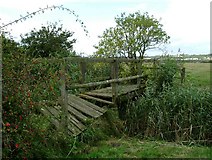 TQ7285 : Broken Footbridge in Vange Marsh by Glyn Baker