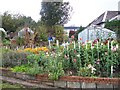 Caddlehill Allotments, Greenock