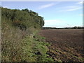 Footpath alongside Dale