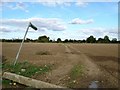 Footpath from Springhouse Lane