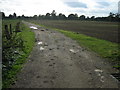 Track towards Northfield Farm