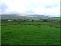 Across the Fields to Alston