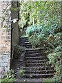 Steps at edge of Panorama Woods, Ilkley