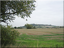 SP1545 : Meon Hill from the Long Marston Road by Dave Bushell
