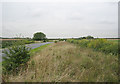 Trackbed of the Stratford & Moreton Tramroad