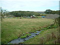 Grizedale Brook