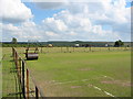 Godshill cricket pitch, New Forest.