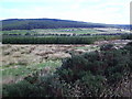 Looking Towards Wester Achnacloich Farm