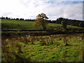 The Wester Achnacloich Farm Road End