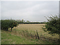 Fields near Northway