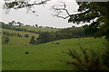 Countryside near The Stair Inn, Ayrshire