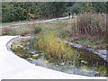 Pond at Welsh Harp Environmental Education Centre