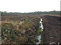 Peat workings