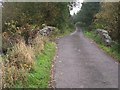 Bridge over Dargavel Burn