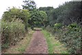 The Freshwater Way cycle path