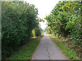 Cuckoo Trail between Polegate and Hailsham