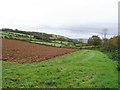 Field near Cotmere