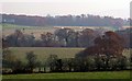 NY4753 : Landscape at Wetheral Pasture by Lynne Kirton
