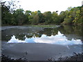 Upper Pond, Ashtead Park