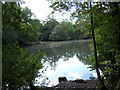 Lower Pond, Ashtead Park