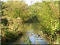 Heaton Mersey Common