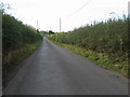 Road looking east