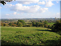 Rushy Meade ancient meadow, Pulloxhill, Beds