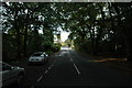 Road through Delamere Forest