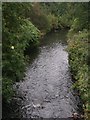 River Irk from Heaton Park Road West Bridge