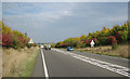 SP0138 : Autumn Colour on the Sedgeberrow Bypass by Dave Bushell