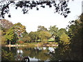 Potomac Pond, Gunnersbury Park