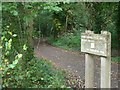 Esher Common cycle route