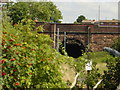 Disused Railway Tunnel (Stephenson