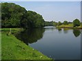 The River Weaver,  near Kingsley.