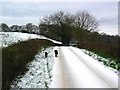 Snowy Road near Catton Hall