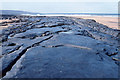 M1308 : Fanore: the beach after winter storms. by Dr Charles Nelson