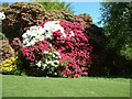 Stourhead Gardens in the spring