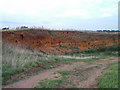 TM3542 : Inland "Cliff" with Sand Martin burrows, near Buckanay Farm, Alderton by Jon Hopkins