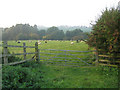 Farmland at Northfield Farm