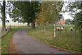 Driveway leading to Upleadon Farm