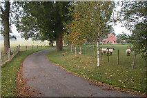SO6742 : Driveway leading to Upleadon Farm by Philip Halling