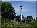 Bluebell Railway