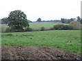 Farmland near Salfords