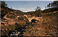 Bridge over Milton Brook, near Lilliput