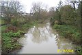 Oxford: Bulstake Stream, New Botley