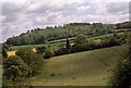 Noar Hill from the Hangers