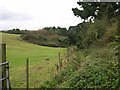 Footpath to Chapel Combe