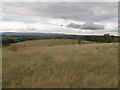 Ifton Meadows covered by Ifton Colliery bing